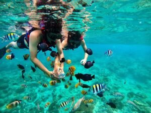 Blue lagoon Bali_0002_345050377_9279996402041432_1110707012256321456_n