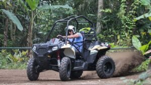 buggy4-1600X900